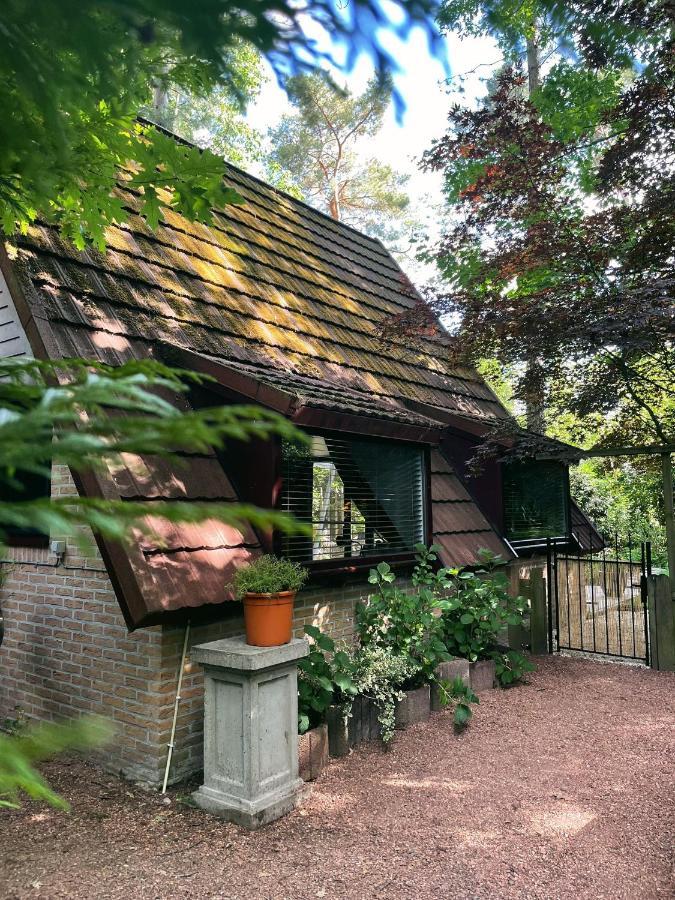 Mimi'S Natuurhuisje Ланакен Экстерьер фото
