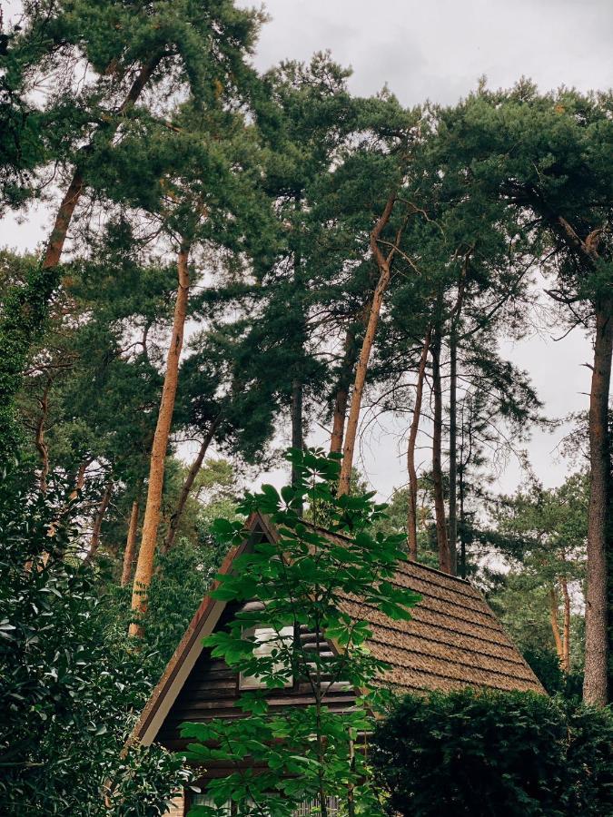 Mimi'S Natuurhuisje Ланакен Экстерьер фото