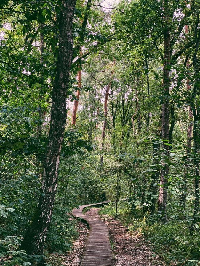 Mimi'S Natuurhuisje Ланакен Экстерьер фото