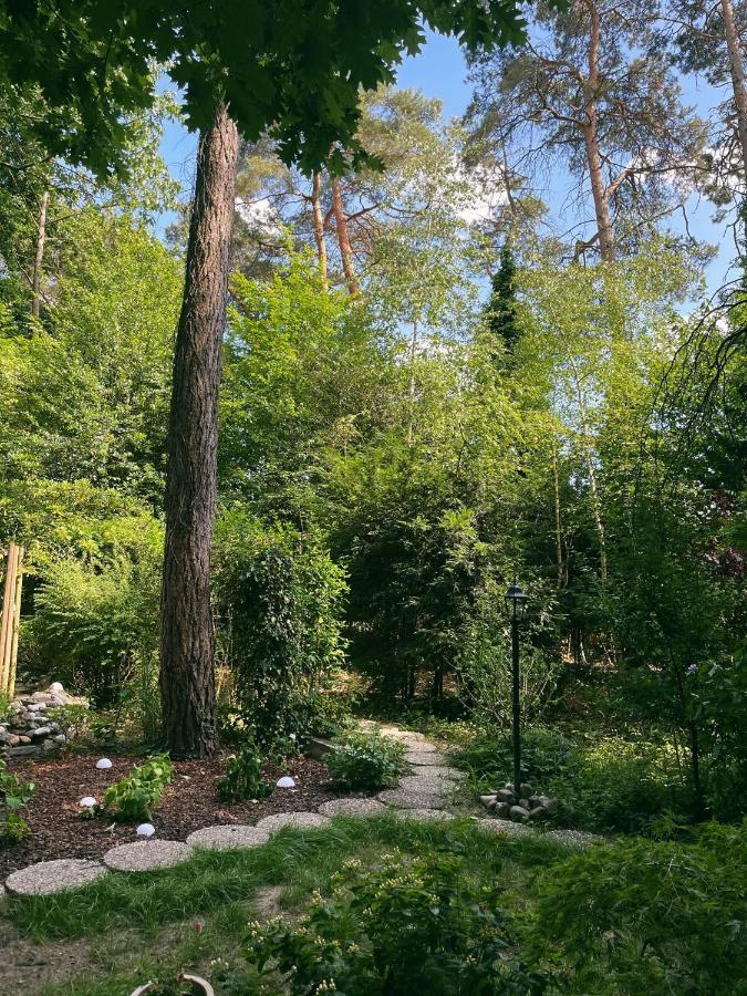 Mimi'S Natuurhuisje Ланакен Экстерьер фото