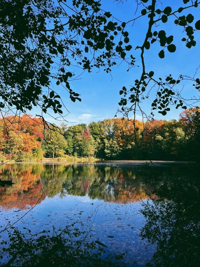 Mimi'S Natuurhuisje Ланакен Экстерьер фото
